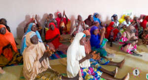 Beji Shea Processors