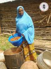 Empower 500 Nigerian Shea Processors Sustainably