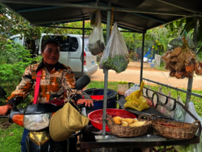 Supporting family livelihoods - micro business