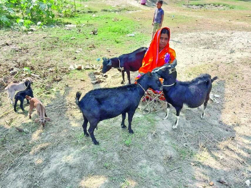 Maternal & Child Nutrition in Char land,Bangladesh