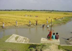 Participation of women in Charland