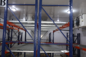 Internal view of the Coldchain Warehouse