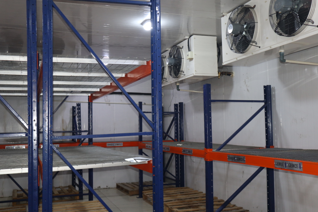 Green Energy Support for Cold-chain Warehouse