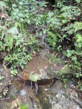 Spring Site to Construct Water Chamber Up Hill