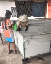 Maly helps tend their cricket farm after school