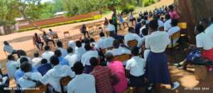 Orphans learning under a tree