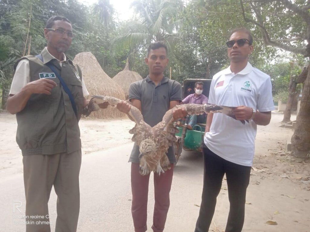Protect Endangered Eagles in Bangladesh