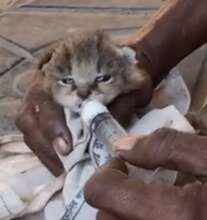 GFI volunteer taking care of the baby