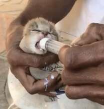 GFI volunteer taking care of the baby
