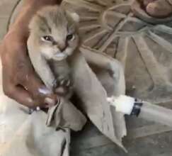 GFI volunteer taking care of the baby