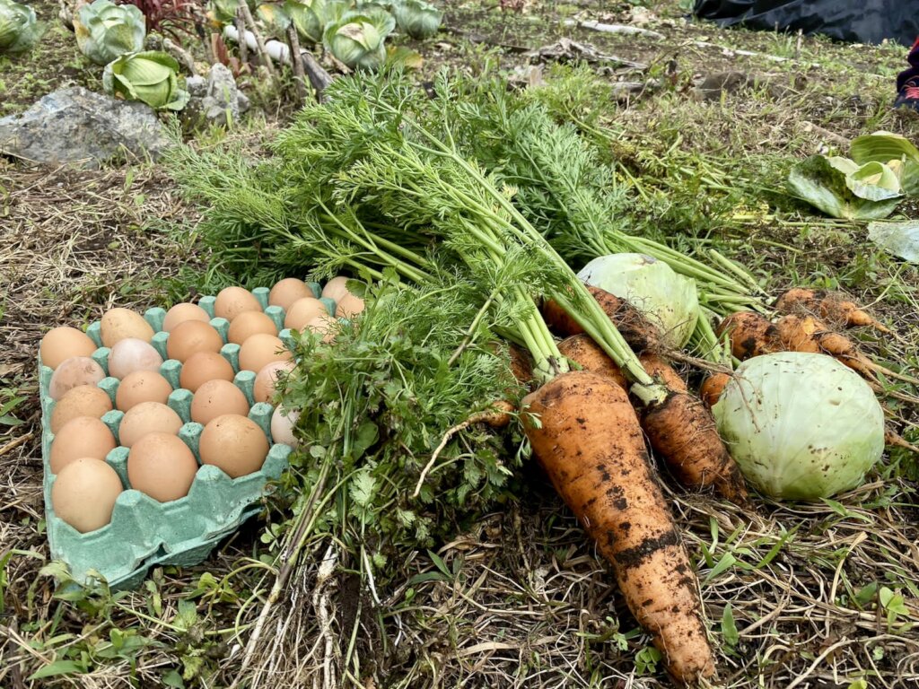Organic Community Garden.
