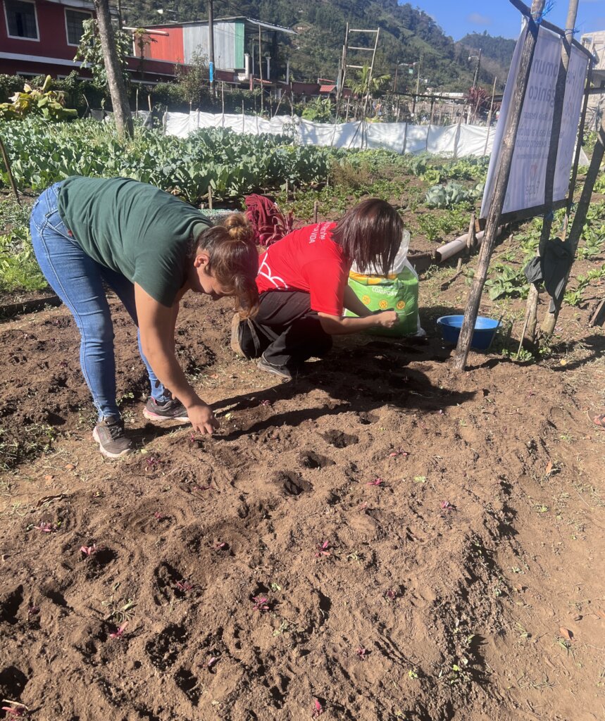 Organic Community Garden.