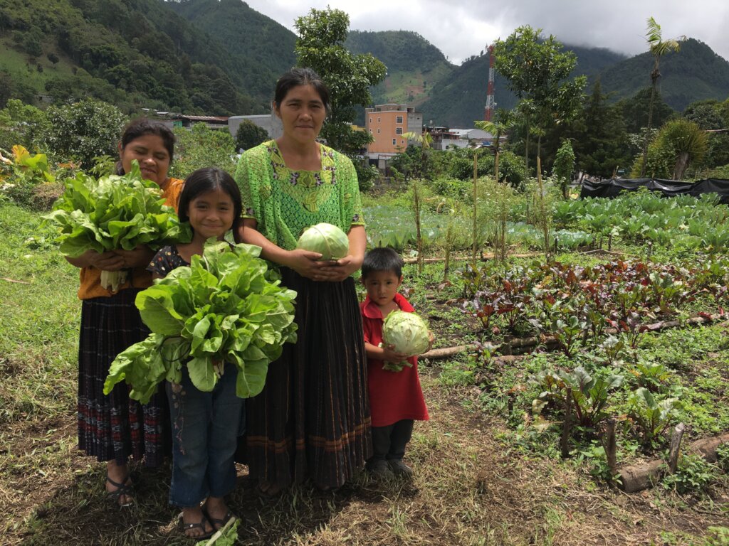 Organic Community Garden.