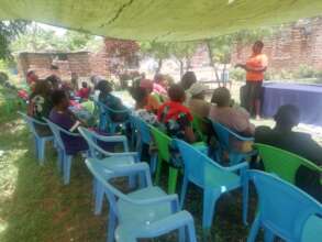 The volunteer conducting an activity