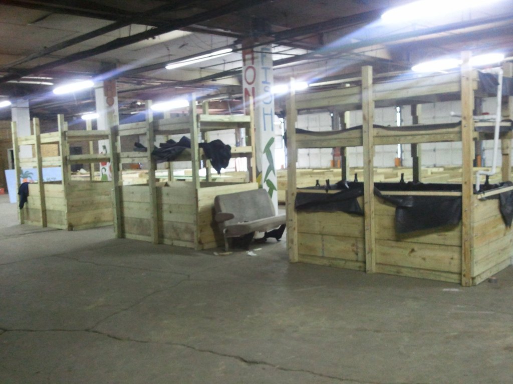 aquaponics systems