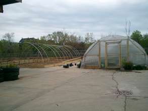 2nd hoop house.