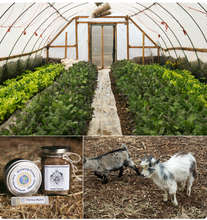 winter growing