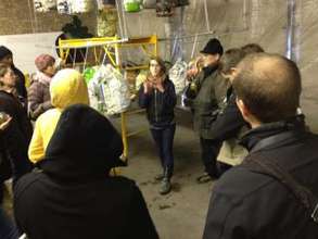Teachers learning about oyster mushroom production