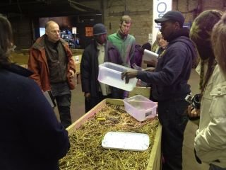 Teachers making mini vermicomposting bins