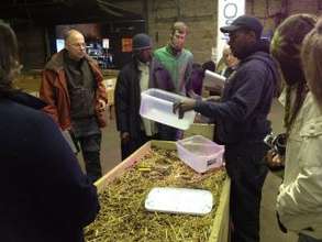 Teachers making mini vermicomposting bins