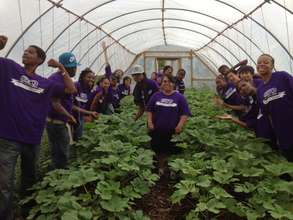 Youth Corps in hoop house full of okra at Iron St.