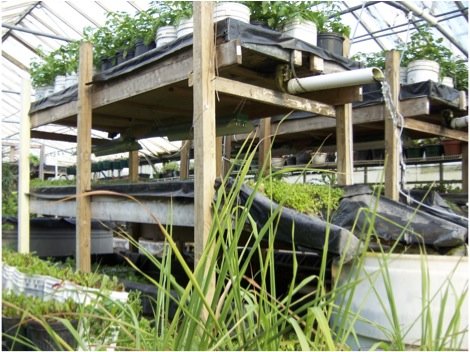Help Build Iron Street Farm on Chicago's Southside