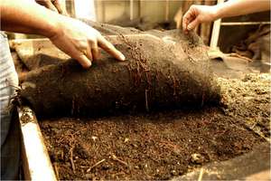 It's all about the soil.