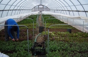 Help Build Iron Street Farm on Chicago's Southside