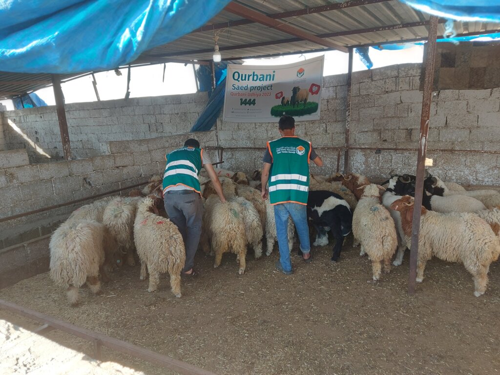 Reaching Earthquake Victims with Qurbani