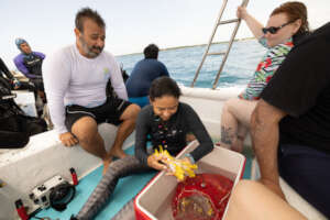 The team preparing for sample collection