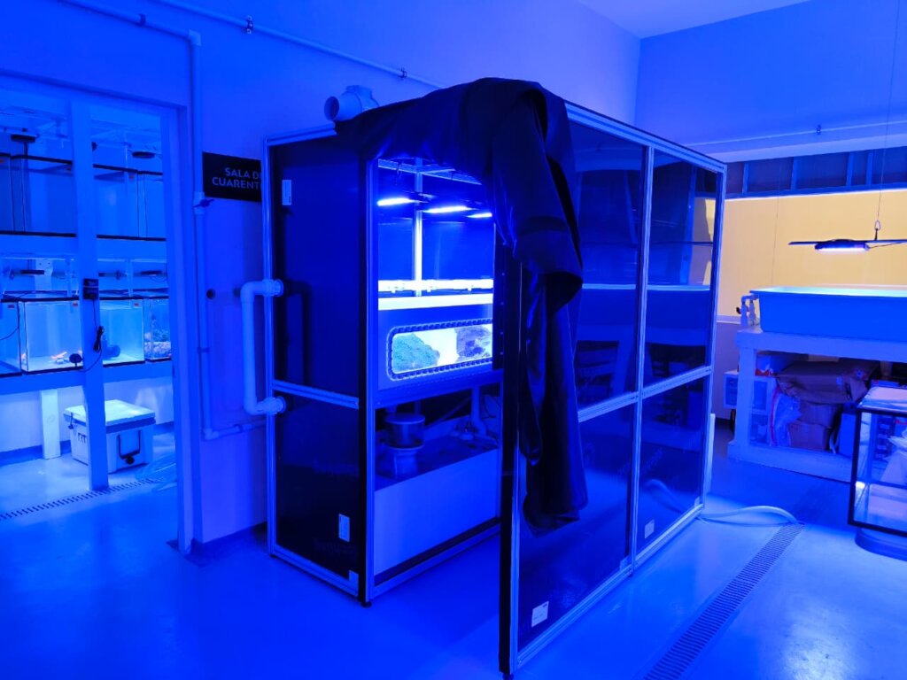 Full CSL set up in our Coral Wet Lab