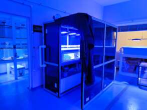 Full CSL set up in our Coral Wet Lab
