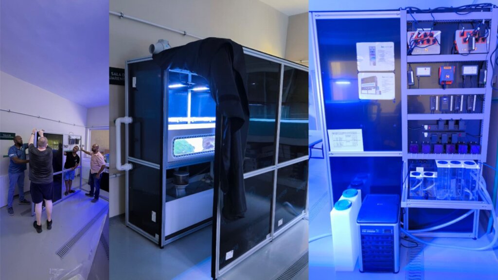 CSL Module Instalation Process