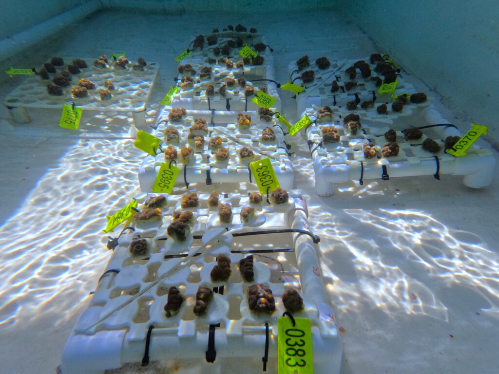 Marine Innovation Hub Punta Cana