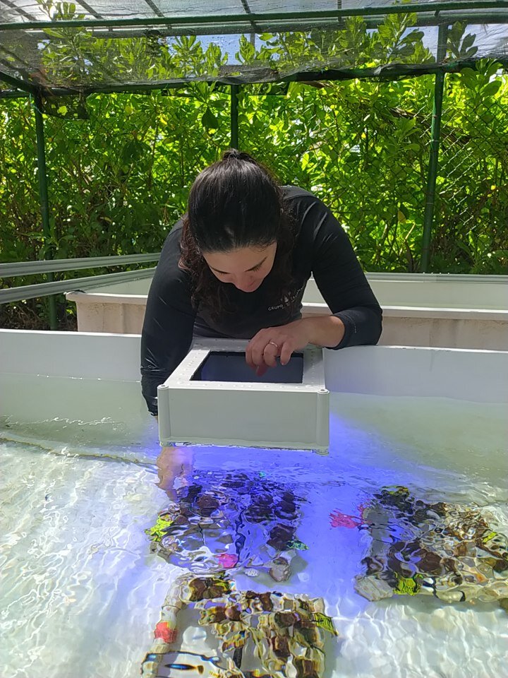 Marine Innovation Hub Punta Cana