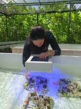 Coral Monitoring App