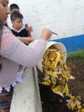 Students working on their school's compost.