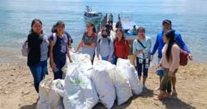 Clean Environment, Green Future: School Cleanups