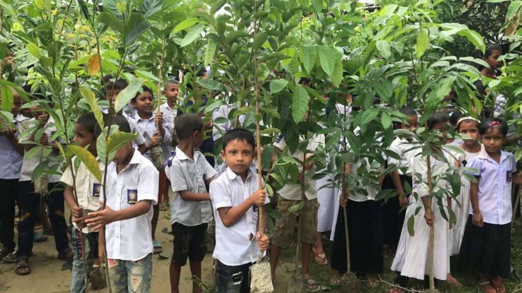 Plant 100,000 Trees With Students In Bangladesh