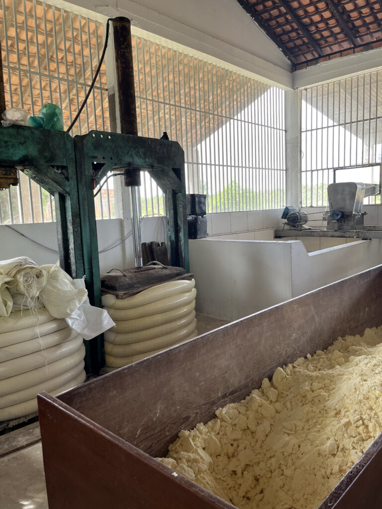 New Opportunity to Help Amazon Rain Forest!