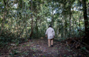 New Opportunity to Help Amazon Rain Forest!
