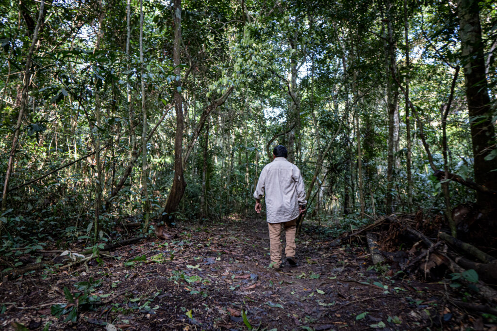 New Opportunity to Help Amazon Rain Forest!