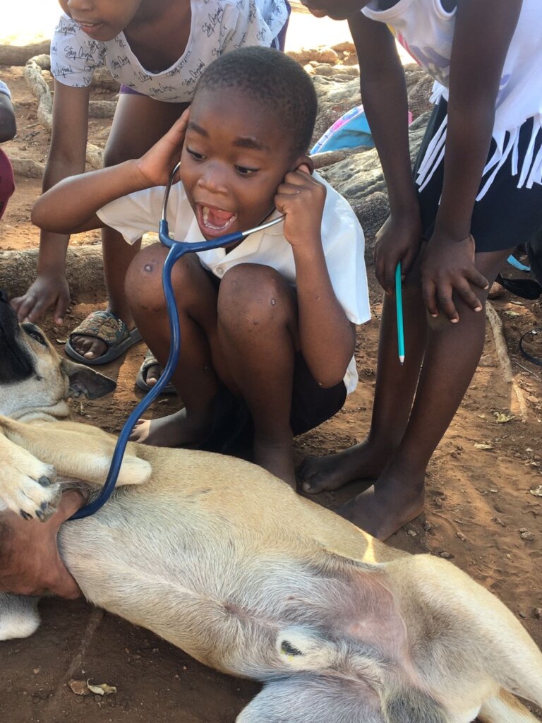 Animal Treatment Fund