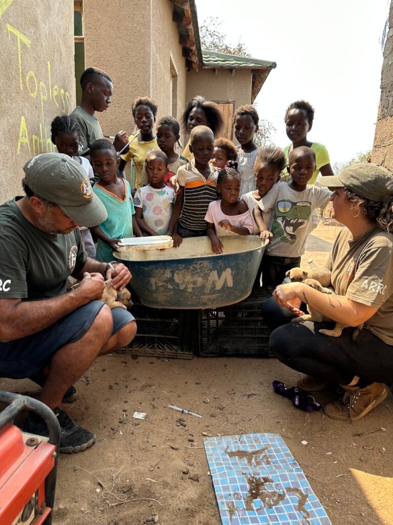 Animal Treatment Fund