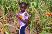 Help 500 EL-NINO drought victims in Zimbabwe