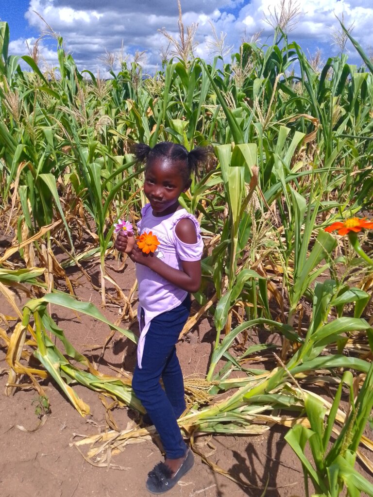 Help 500 EL-NINO drought victims in Zimbabwe