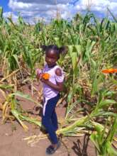 Help 500 EL-NINO drought victims in Zimbabwe