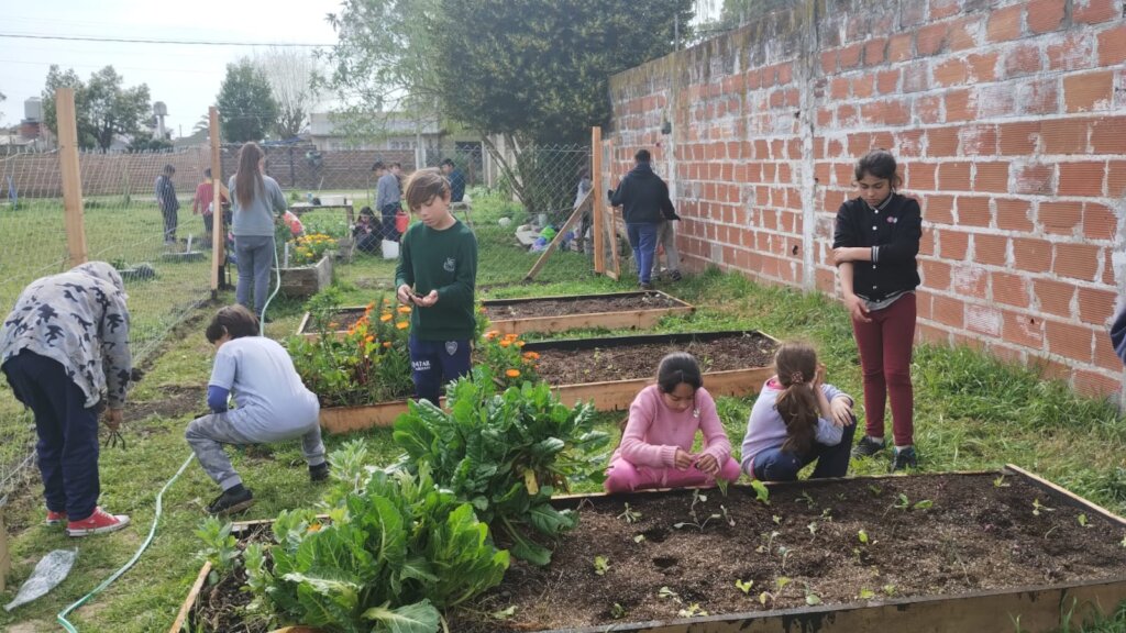 School N11 Mar del Plata (Buenos Aires)