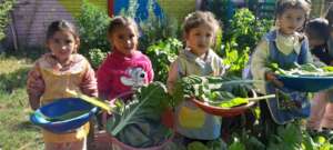 Harvest in kindergarten - School 918 - Guernica