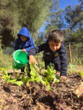 School Garden in Chaco